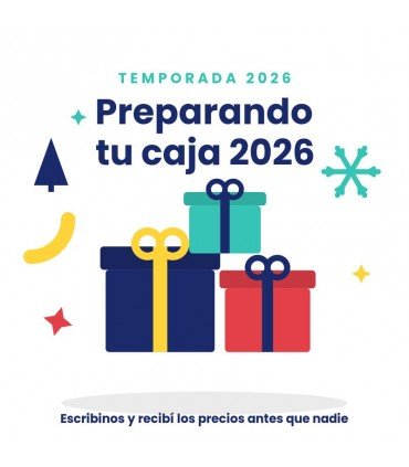 CAJA NAVIDEÑA Nº 10